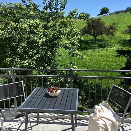Weinheim Apartments المظهر الخارجي الصورة