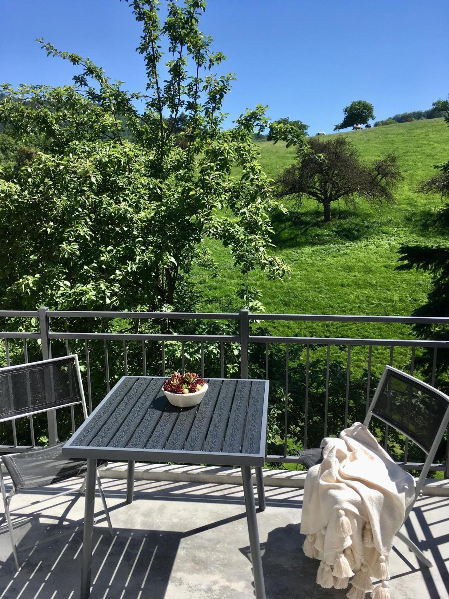 Weinheim Apartments المظهر الخارجي الصورة